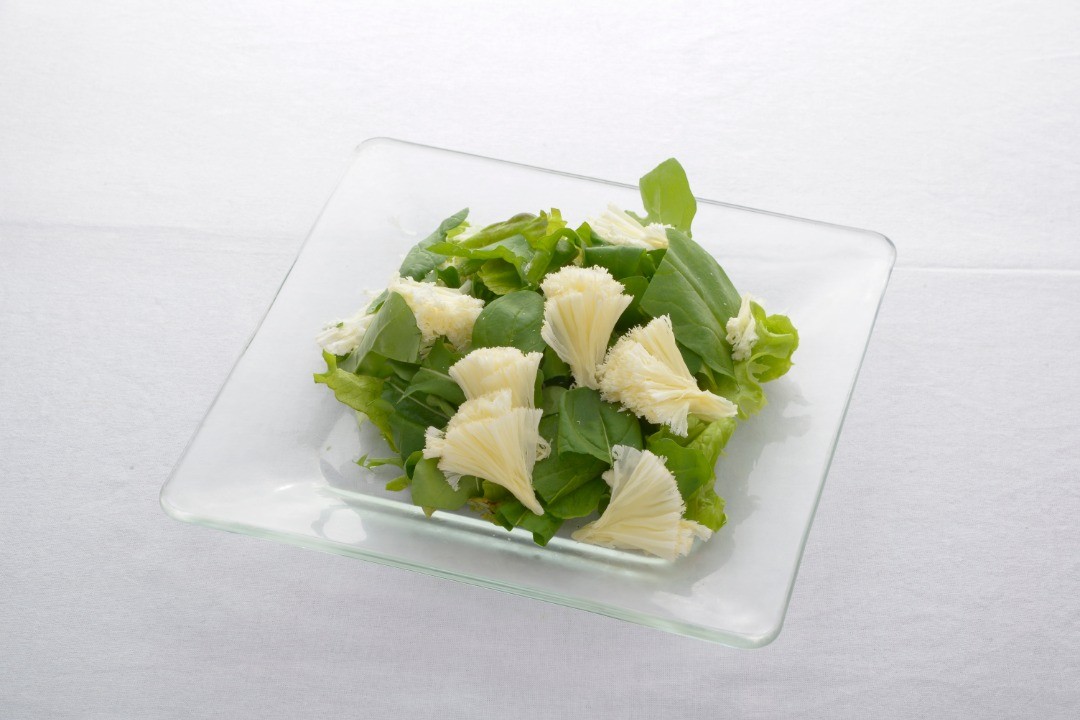 Instagram 新着投稿