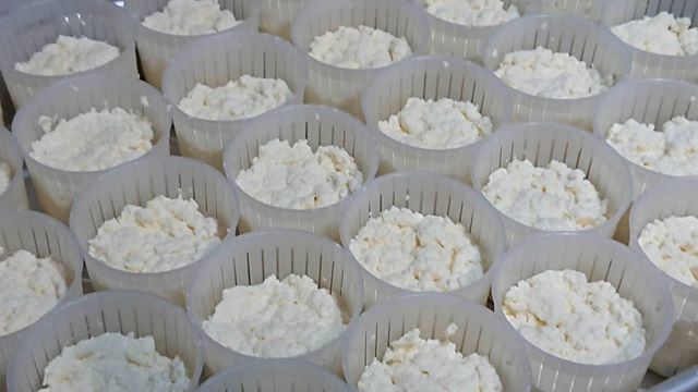 Instagram 新着投稿