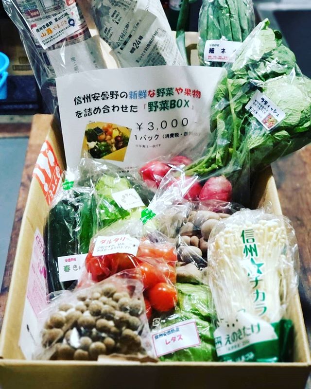 Instagram 新着投稿